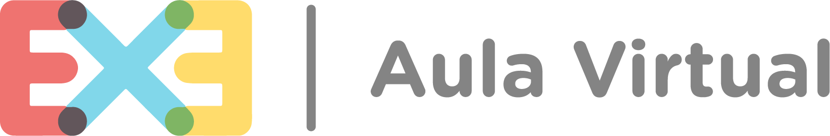 EXE Aula Virtual